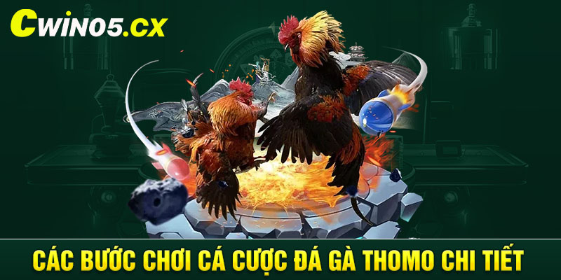 Các bước chơi cá cược đá gà Thomo chi tiết